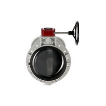 FIP 蝶閥 FK FIP 蝶閥 FK