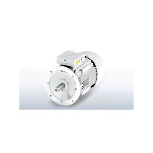 VEM 交流電機 IEC VEM 交流電機 IEC