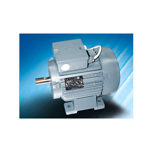 VEM 交流電機 EB, ED series VEM 交流電機 EB, ED series