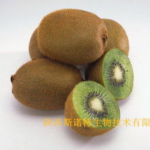 寶雞市特產銷售行業(yè)協(xié)會 領航獼猴桃產業(yè)，打造“金果”新名片