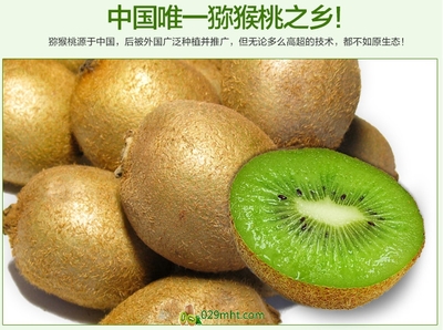 【預售開啟】2015年度優(yōu)質徐香獼猴桃，邀您搶先品嘗金秋碩果