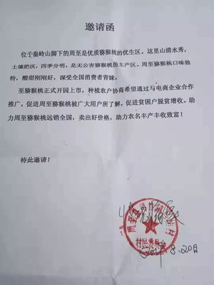 愛心傳遞周至 40萬斤獼猴桃滯銷待援，無聲老人與留守兒童的期盼