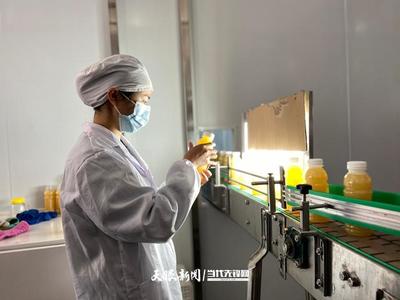 六盤水 產業轉型蹄疾步穩，獼猴桃變身“致富果”