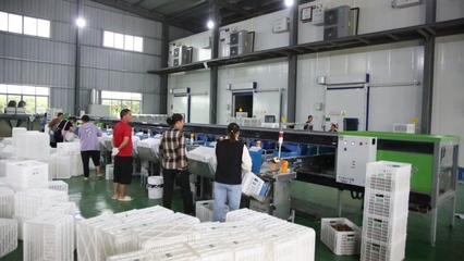 修文縣首個即食獼猴桃加工中心建成投用，開啟獼猴桃產業發展新篇章