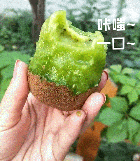 走起！這樣的采摘游玩樂趣千萬別錯過——獼猴桃采摘基地合集