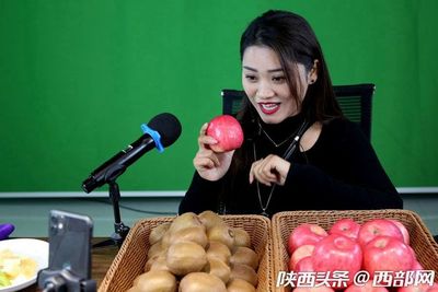 專業(yè)合作社引領，果農增收致富路——扶風獼猴桃實現(xiàn)全年供應與銷售新突破